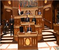 برلمانية: مصر تبذل كافة الجهود من أجل وقف العدوان الإسرائيلي على غزة