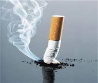 خبراء يطالبون «الصحة العالمية» بدعم منتجات النيكوتين الأكثر أمانًا لمواجهة التدخين التقليدي 