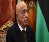 القاهرة تسضيف اجتماع بين رئيسي مجلسى النواب والدولة الليبيين