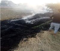  جهاز شؤون البيئة بمحافظة الشرقية يحرر 538 محضر حرق قش أرز 