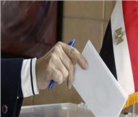 تعرف على شروط وضوابط الدعاية الانتخابية الرئاسية المصرية