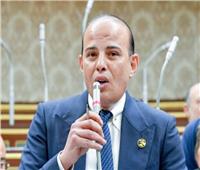 برلماني: كلمة الرئيس بالقمة العربية عبرت عن الرؤية المصرية الثابتة تجاه دعم غزة ‎