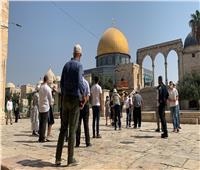 مُستوطنون يقتحمون المسجد الأقصى بحماية شرطة الاحتلال الإسرائيلي