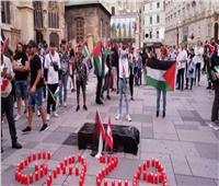وقفة تضامنية جديدة داعمة لصمود غزة بمشاركة أبناء الجاليات العربية والإسلامية في النمسا