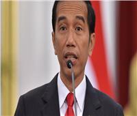 رئيس أندونيسيا يشدد على ضرورة وقف إطلاق النار في غزة وتسريع المساعدات الإنسانية