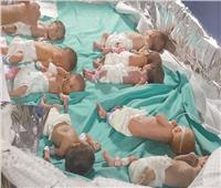 ساحات حرب في مستشفيات غزة.. والصحة غير قادرين على إحصاء الشهداء
