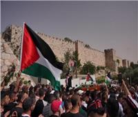 أحمد موسى: الشعب الفلسطيني متمسك بأرضه حتى الموت