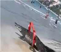 "تمساح"  يثير الذعر على شاطئ مكسيكي