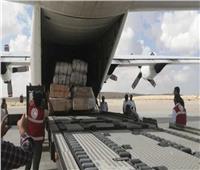وصول طائرة مساعدات من الإمارات إلى مطار العريش تمهيدًا لنقلها إلى قطاع غزة