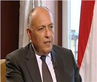الخارجية: مصر ترفض تصفية القضية الفلسطينية على حساب دول الجوار