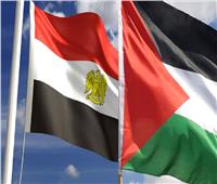 40 يومًا من الحرب على غزة.. جهود الدبلوماسية المصرية لم تتوقف لأجل فلسطين| تقرير