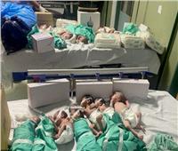 الرئيس السيسي يوجه بسرعة استقبال الأطفال حديثي الولادة من قطاع غزة