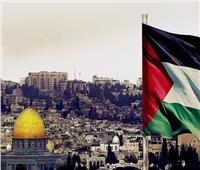 خبير: القضية الفلسطينية على رأس أولويات أجندة الدولة المصرية
