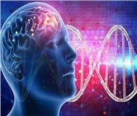 اكتشاف 29 جينًا تؤثر على شكل الرأس لدى البشر