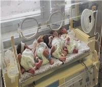 القاهرة الإخبارية: وصول 5 أمهات مرافقات للأطفال الخدج لتلقي العلاج في مصر