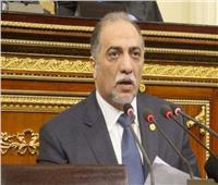برلماني: يكشف تفاصيل طلب الإحاطة المقدم من النواب لتوضيح موقف الدولة المصرية