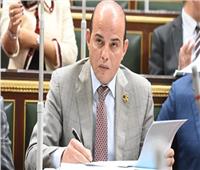 اقتصادية النواب: «مصر ترفض تصفية القضية الفلسطينية بالتهجير القسري»