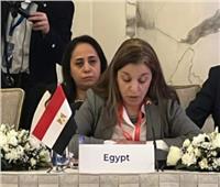مصر تشارك في المؤتمر الدولي لحركة عدم الانحياز بأذربيجان