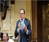 برلماني: تعزيز الشراكة الثنائية بين مصر والسعودية يزيد حجم التبادل التجاري