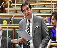 برلماني: مصر تدافع عن القضية الفلسطينية وتتصدى لمخطط التهجير القسري
