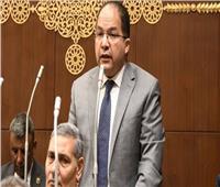برلماني: التوصل لاتفاق تبادل الأسرى امتداد لدور مصر الدبلوماسي في القضية الفلسطينية ‎