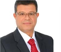 برلماني: "القيادة المصرية انتصرت للشعب الفلسطيني في اتفاق الهدنة"