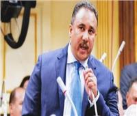 برلماني: مصر جنّبت المنطقة الدخول في نفق مظلم