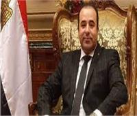 برلماني: نجاح الوساطة المصرية يؤكد دور القاهرة المحوري في حل القضية الفلسطينية