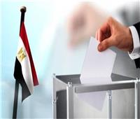 الوطنية للانتخابات: الانتهاء من كافة الاستعدادات اللازمة للانتخابات الرئاسية خارج البلاد