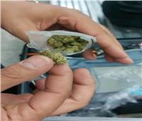 جمارك مطار الغردقة الدولي تضبط كمية من نبات الماريجوانا المخدر