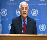 مندوب فلسطين أمام مجلس الأمن: يجب وضع حل نهائي للحرب