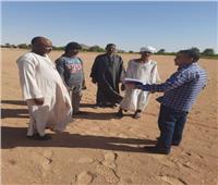 «بحوث الصحراء»: قوافل إرشادية في توشكى لزراعة محصول القمح