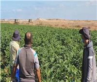 خروج المستوطنين من مناطق غلاف غزة.. أزمة جديدة تواجه إسرائيل في قطاع الزراعة