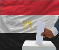 المصريون في النمسا يعقدون مؤتمرًا لتأييد السيسي لفترة رئاسية جديدة