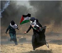 أستاذ علاقات دولية: صمود الشعب الفلسطيني في غزة أسطوري