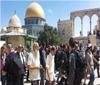 إعلام فلسطيني: 47 مستوطنا يقتحمون ساحات المسجد الأقصى المبارك