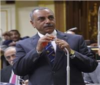«الطماوي»: المصريون في حالة اصطفاف وطني خلف الرئيس السيسي.. وأثق في وعيهم 