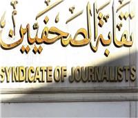 انضمام نقابة الصحفيين المصريين للاتحاد الدولي بإجماع الآراء
