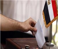 الجمعة.. انطلاق ماراثون الانتخابات الرئاسة للمصريين بالخارج