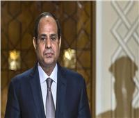 أعضاء اتحاد الكيانات المصرية في أوروبا يؤكدون دعمهم المطلق للرئيس السيسي 