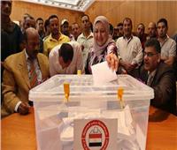 المصريون في أمريكا يستعدون للمشاركة في الانتخابات الرئاسية المصرية