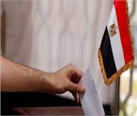 استعداد السفارة المصرية بالسعودية لانتخابات الرئاسة.. تفاصيل 