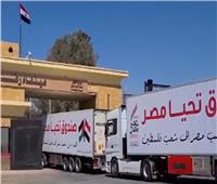 رشوان: مصر ستواصل بذل أقصى جهودها لضمان استمرار تدفق المساعدات الإنسانية لغزة