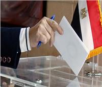 الاتحاد العام للمصريين في الخارج يدعو للمشاركة في الانتخابات الرئاسية غدًا