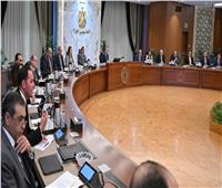 رئيس الوزراء: 55 مشروعًا ونشاطا قائماً بين مصر ودول البريكس