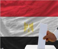 3 لجان في ألمانيا لاستقبال المصريين بالانتخابات الرئاسية 2024