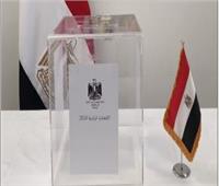 السفارة المصرية في واشنطن تعلن إنهاء استعداداتها للانتخابات الرئاسية 2024