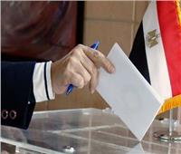 المصريون في باريس ينتظرون انطلاق عرس الانتخابات الرئاسية 2024 
