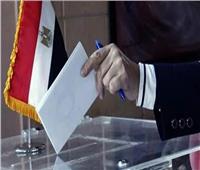 انطلاق عملية التصويت في أستراليا.. المصريون يبدأون مشاركتهم في الانتخابات الرئاسية