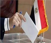 المصريون المقيمون في السعودية يؤكدون مشاركتهم في الانتخابات الرئاسية المصرية